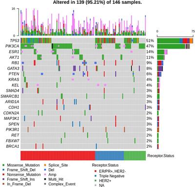 Molecular profiling of metastatic breast cancer and target-based therapeutic matching in an Asian tertiary phase I oncology unit